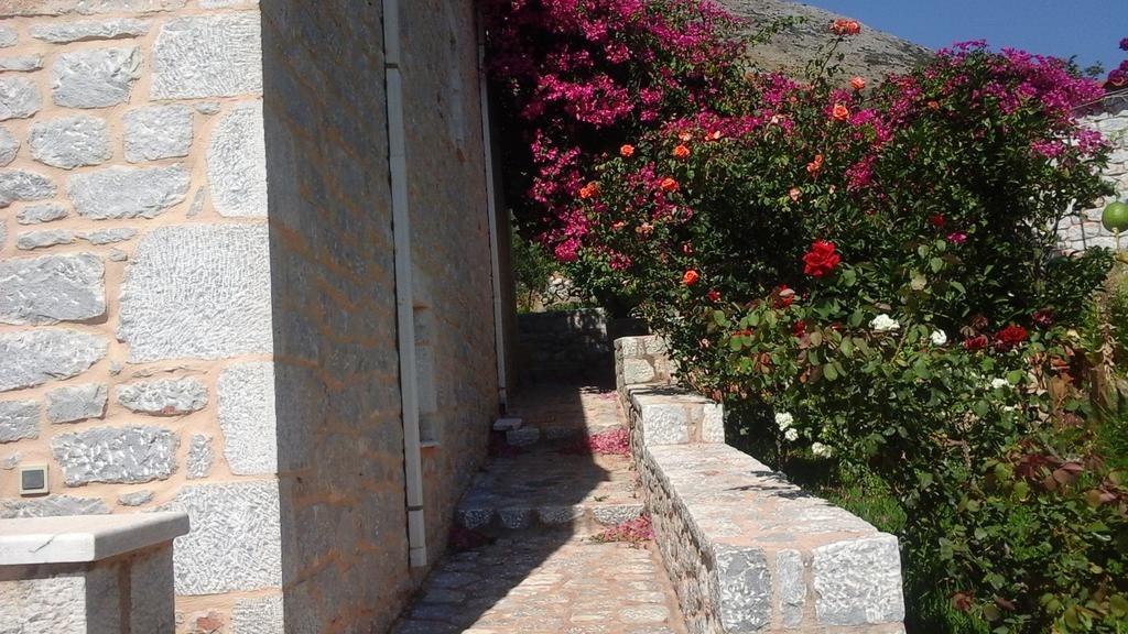Sophia Mina Green Villa Exterior photo